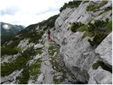 Planina Podvežak - Kocbekov dom na Korošici